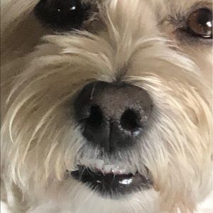 Meet your Posher, Marissa